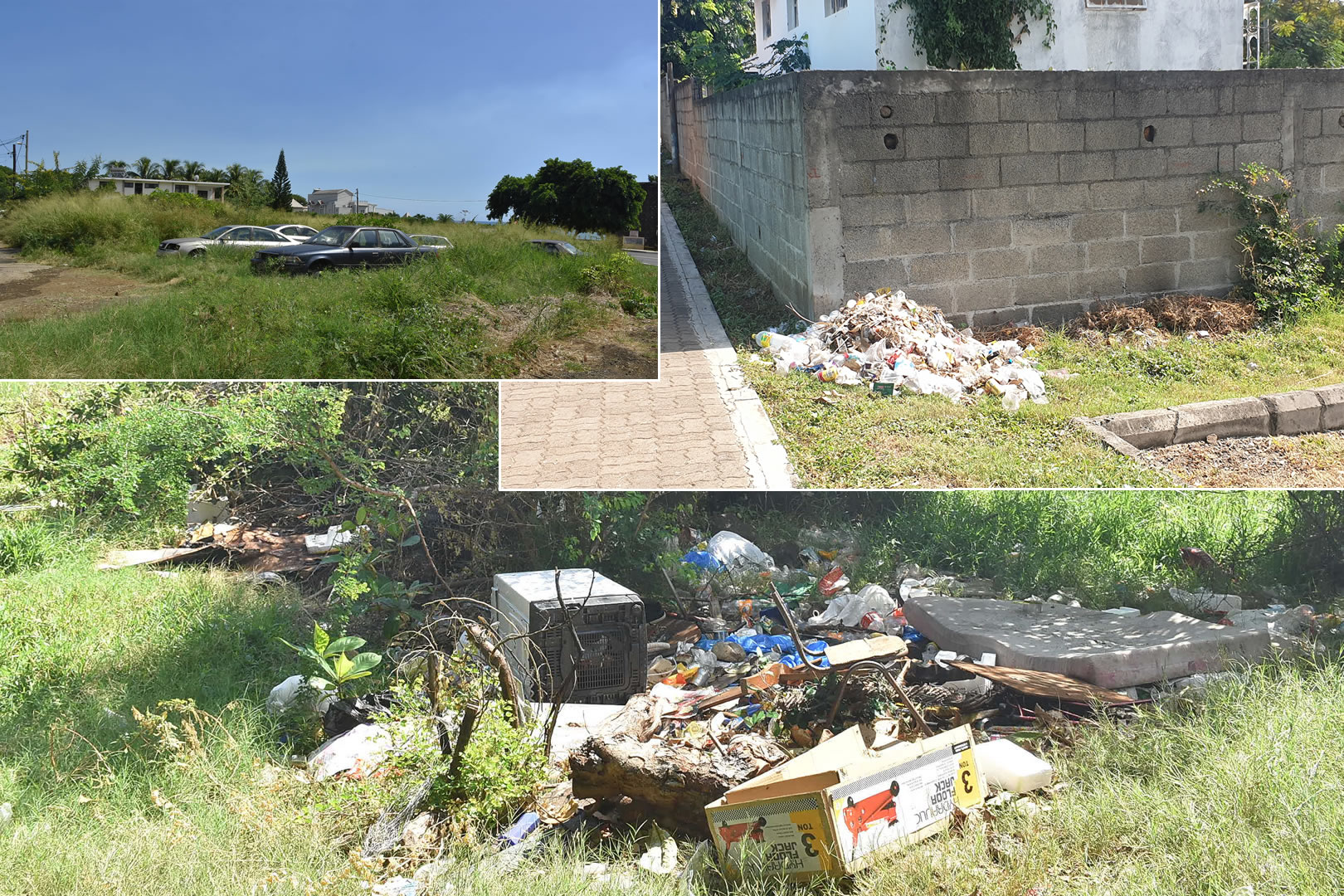 Changement climatique