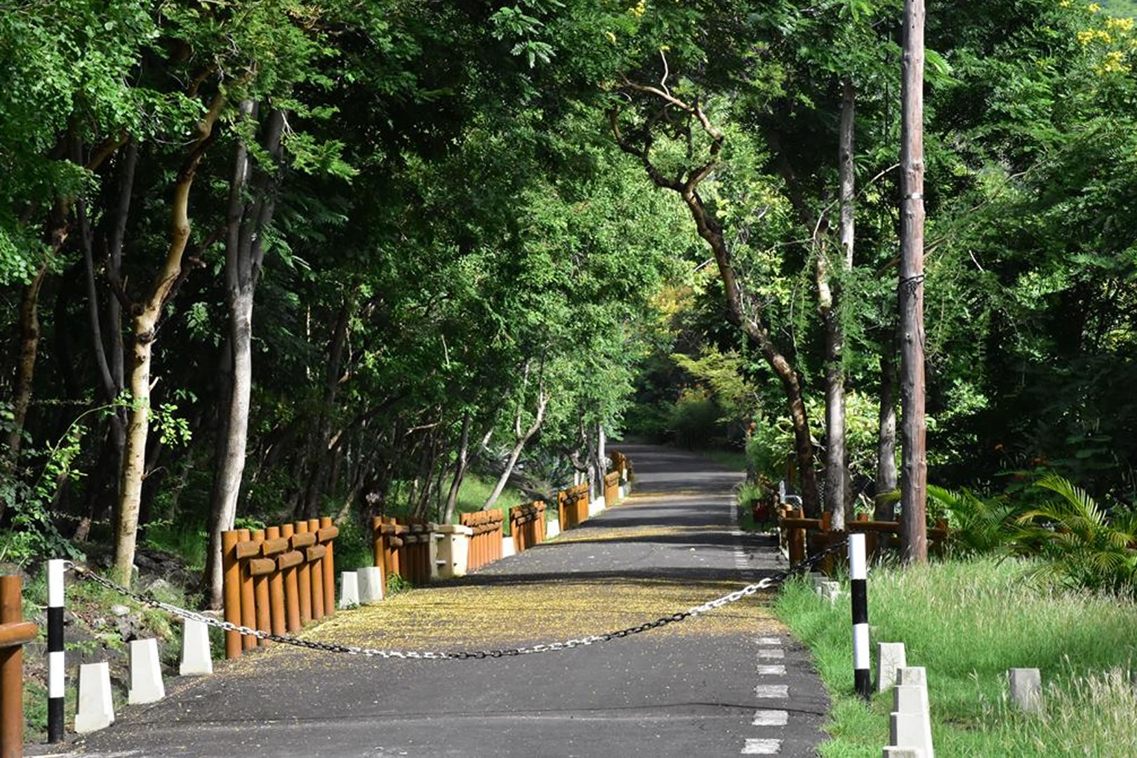 Le Dauguet ou le portail vers la Montagne du Pouce